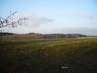 Ca. 12 ca. Agrarfläche bei Kamenz in Sachsen