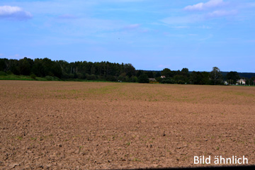 Ca. 5,3 ha fruchtbares Ackerland bei Bad Düben in Nordsachsen