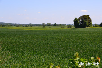 Ca. 14,5 ha Agrarflächen bei Mansfeld in Sachsen-Anhalt