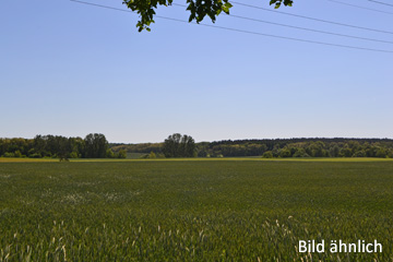 Ca. 6 ha Agrarfläche (Forst/Acker) bei Wittstock/Dosse
