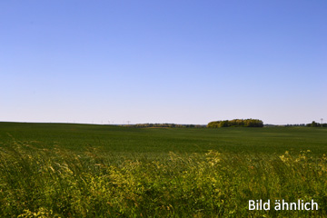 Ca. 5,3 ha Agrarflächen bei Doberlug-Kirchhain und Sonnewalde